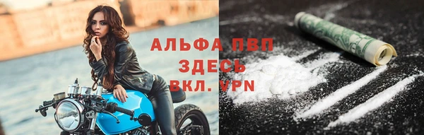 прущие грибы Карталы