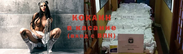 амф Каменка
