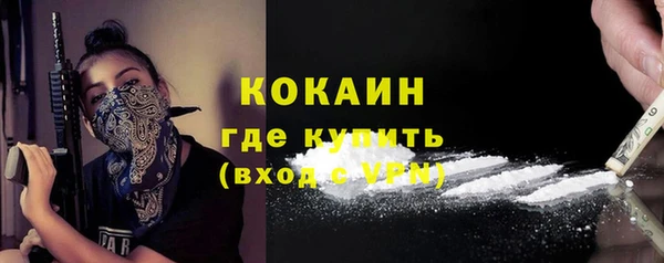 прущие грибы Карталы