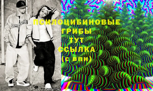 прущие грибы Карталы