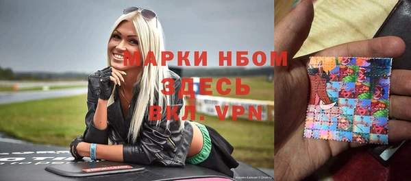 мдпв Каменногорск