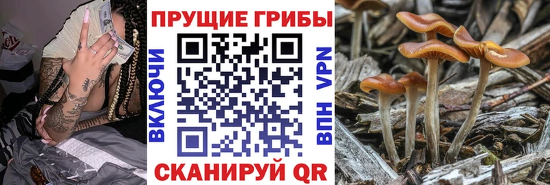 Псилоцибиновые грибы Magic Shrooms  Купить  Невьянск 